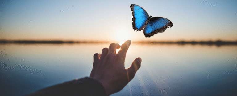 Think Wellness Online hypnotherapy & retreats