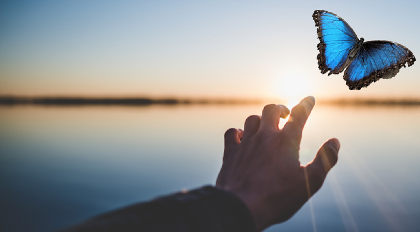 Think Wellness Online Skool